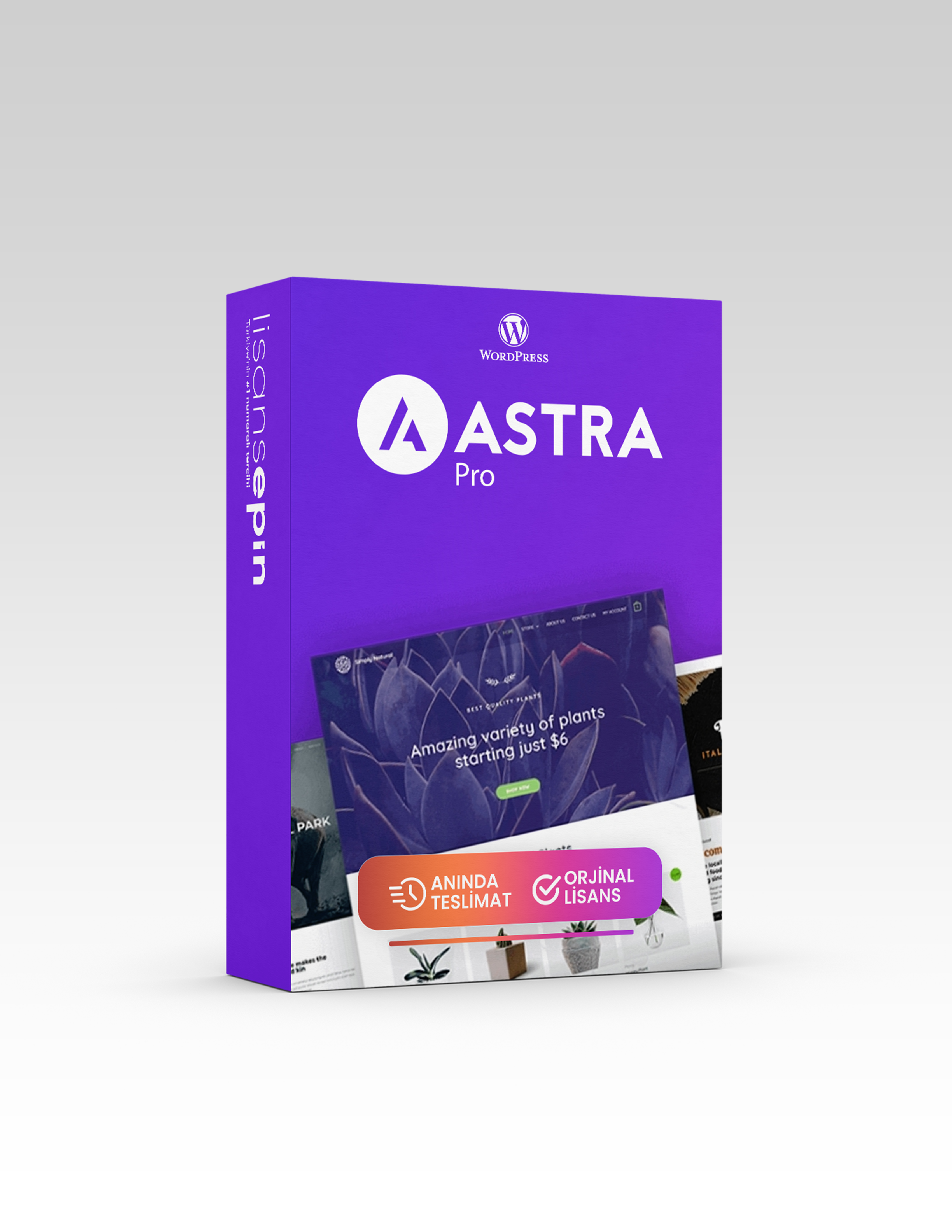 Astra Wordpress Teması - Lisansepin