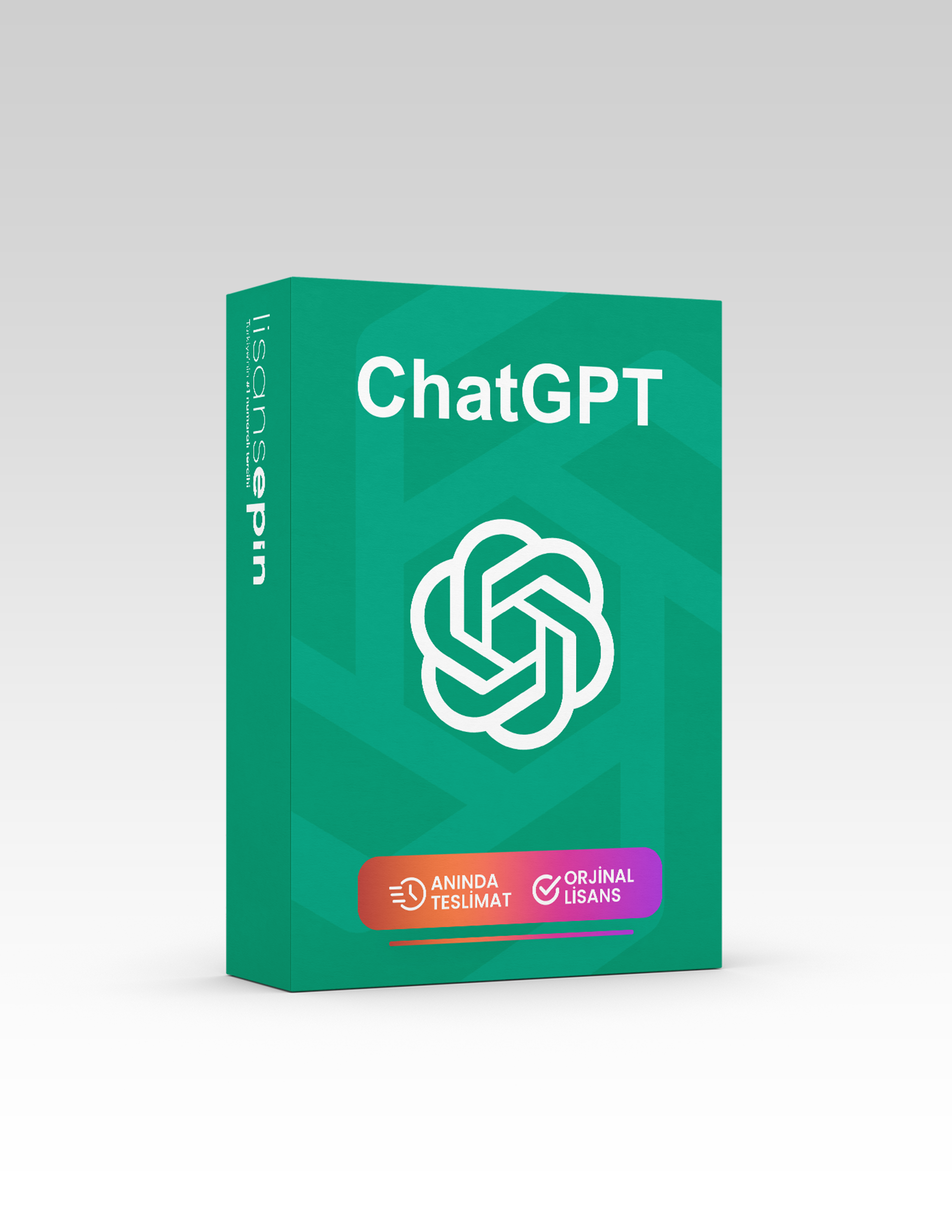 ChatGPT Plus 4 Hesabı - Lisansepin